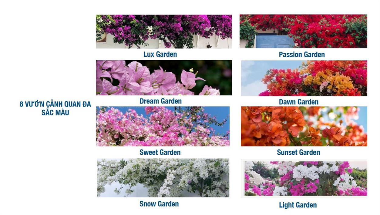 Vườn cảnh quan đa sắc màu